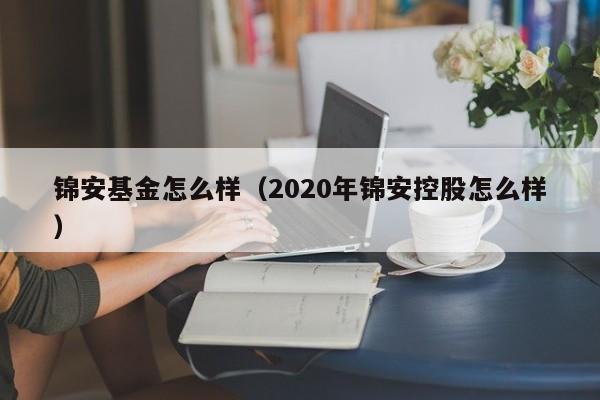 锦安基金怎么样（2020年锦安控股怎么样）
