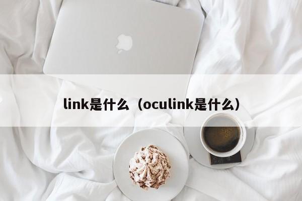 link是什么（oculink是什么）