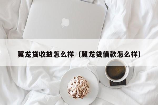 翼龙贷收益怎么样（翼龙贷借款怎么样）