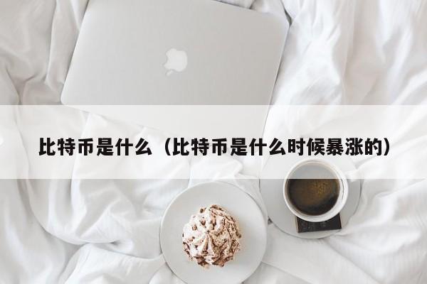 比特币是什么（比特币是什么时候暴涨的）