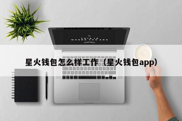 星火钱包怎么样工作（星火钱包app）